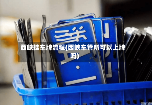 西峡挂车牌流程(西峡车管所可以上牌吗)