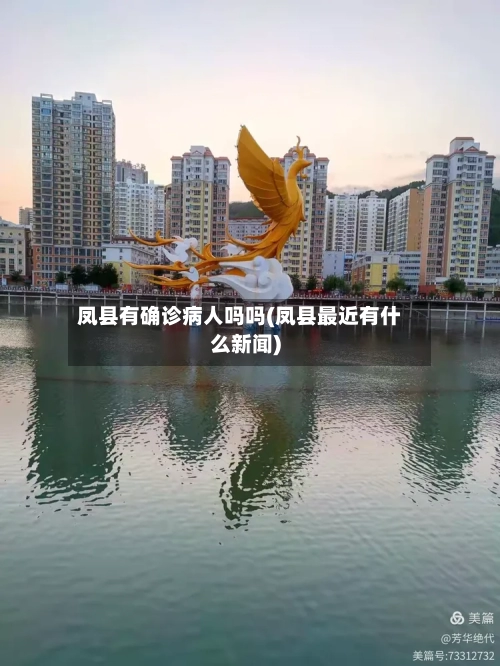 凤县有确诊病人吗吗(凤县最近有什么新闻)-第2张图片