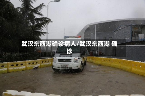 武汉东西湖确诊病人/武汉东西湖 确诊-第2张图片