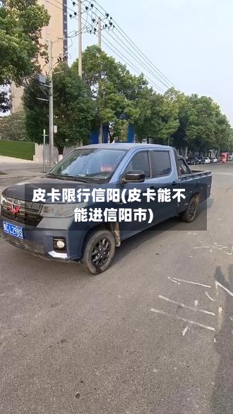 皮卡限行信阳(皮卡能不能进信阳市)-第2张图片