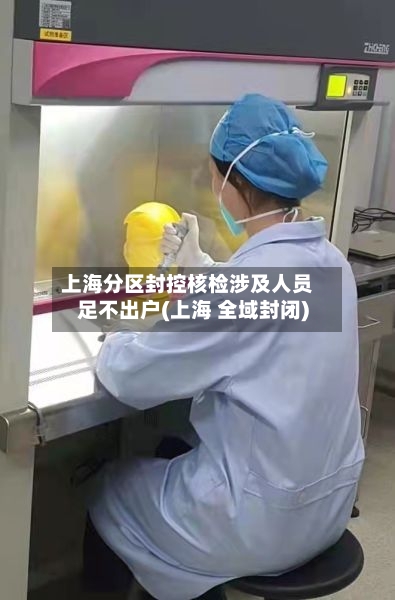上海分区封控核检涉及人员足不出户(上海 全域封闭)-第3张图片