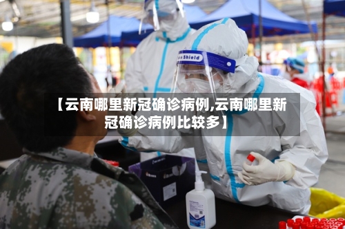 【云南哪里新冠确诊病例,云南哪里新冠确诊病例比较多】