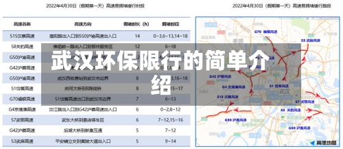 武汉环保限行的简单介绍-第2张图片
