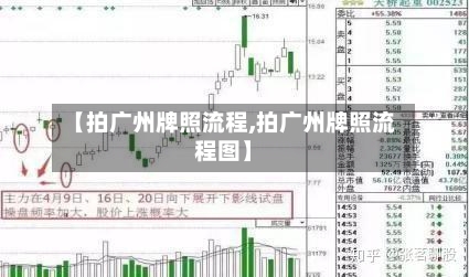 【拍广州牌照流程,拍广州牌照流程图】-第2张图片