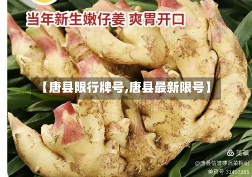 【唐县限行牌号,唐县最新限号】-第2张图片