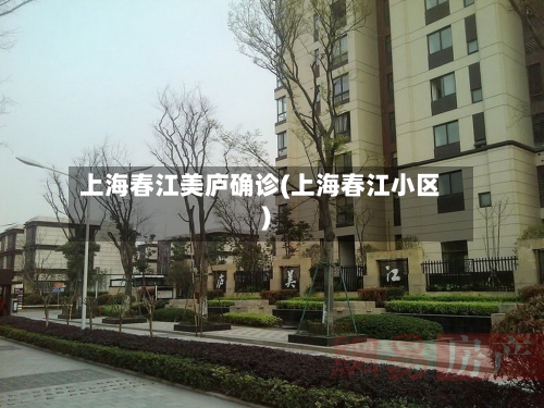 上海春江美庐确诊(上海春江小区)-第2张图片