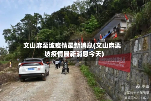 文山麻栗坡疫情最新消息(文山麻栗坡疫情最新消息今天)