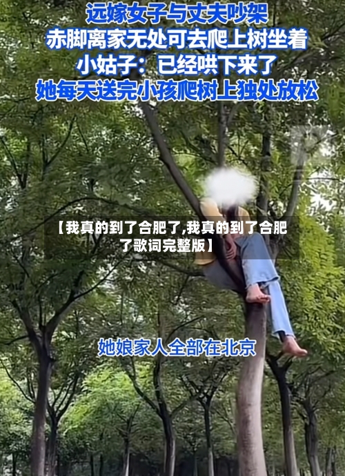 【我真的到了合肥了,我真的到了合肥了歌词完整版】