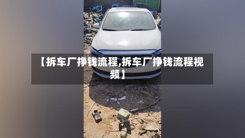 【拆车厂挣钱流程,拆车厂挣钱流程视频】-第2张图片