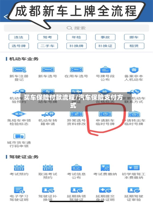 买车保险付款流程/汽车保险支付方式
