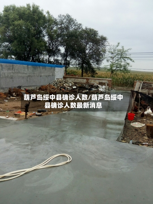 葫芦岛绥中县确诊人数/葫芦岛绥中县确诊人数最新消息-第3张图片