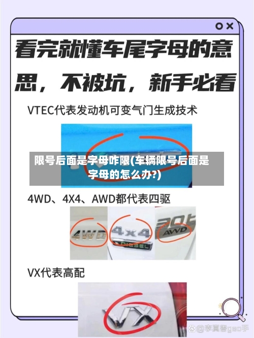 限号后面是字母咋限(车辆限号后面是字母的怎么办?)-第3张图片